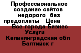 Профессиональное создание сайтов, недорого, без предоплаты › Цена ­ 4 500 - Все города Бизнес » Услуги   . Калининградская обл.,Балтийск г.